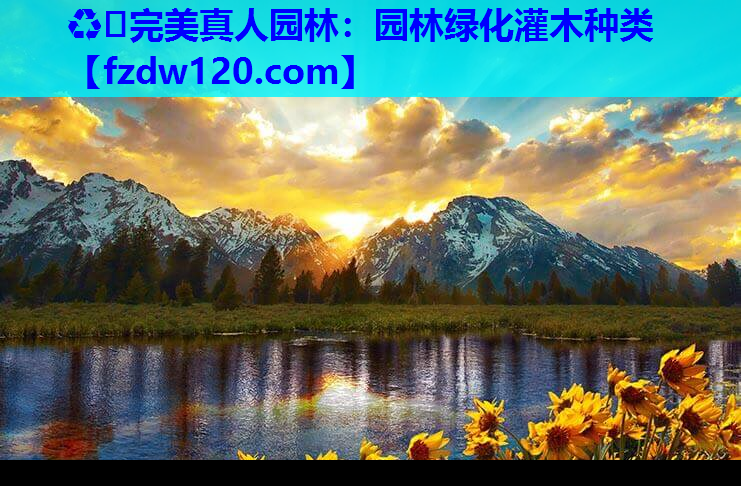 园林绿化灌木种类