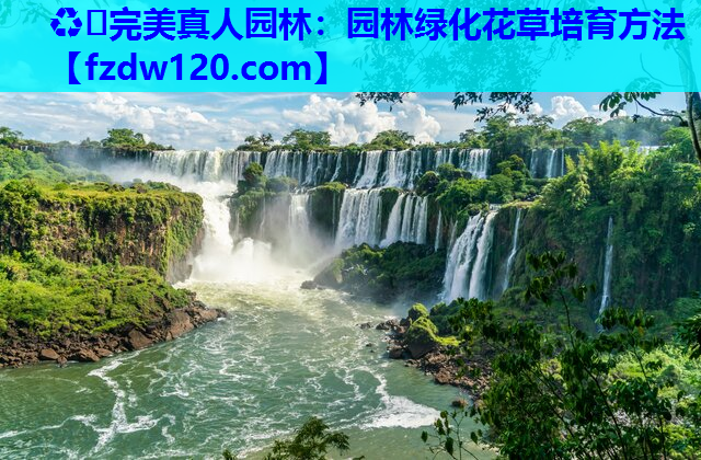 园林绿化花草培育方法 园林绿化花草培育方法