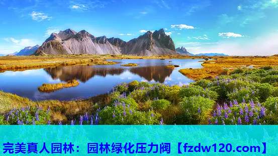 园林绿化压力阀