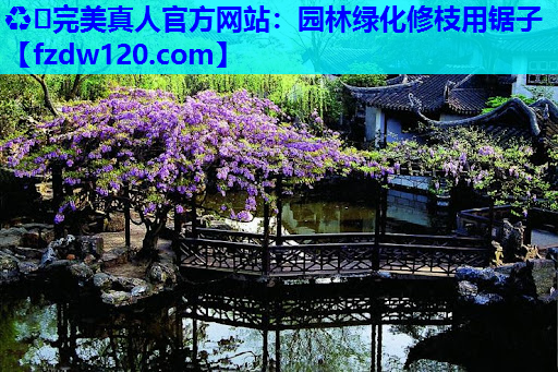 园林绿化修枝用锯子