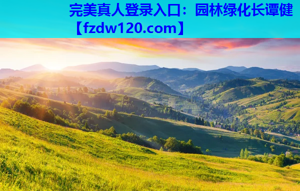 园林绿化长谭健