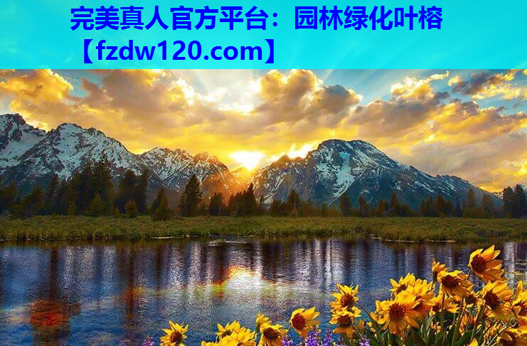 园林绿化叶榕