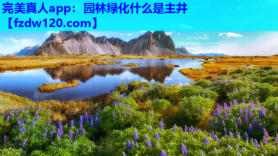 园林绿化什么是主井