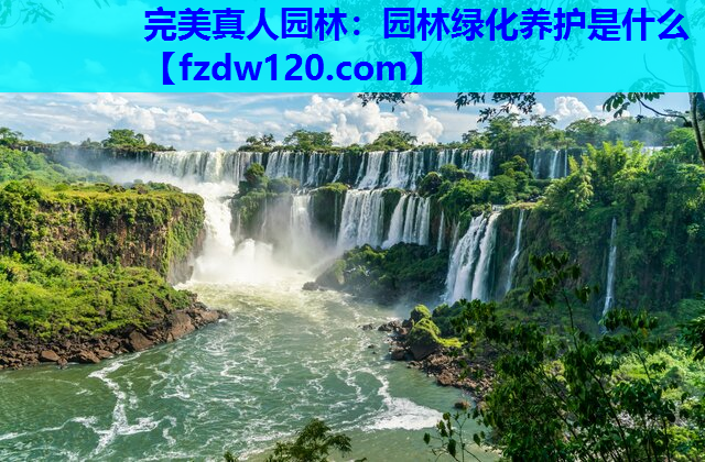 园林绿化养护是什么