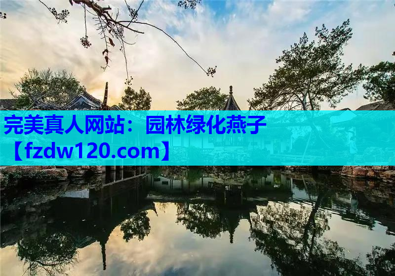 园林绿化燕子
