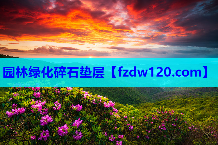 园林绿化碎石垫层