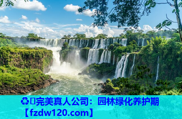 园林绿化养护期