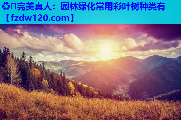 园林绿化常用彩叶树种类有