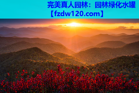 园林绿化水罐