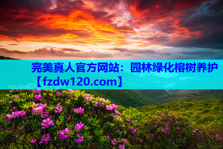 园林绿化榕树养护