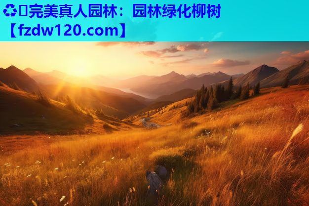 园林绿化柳树