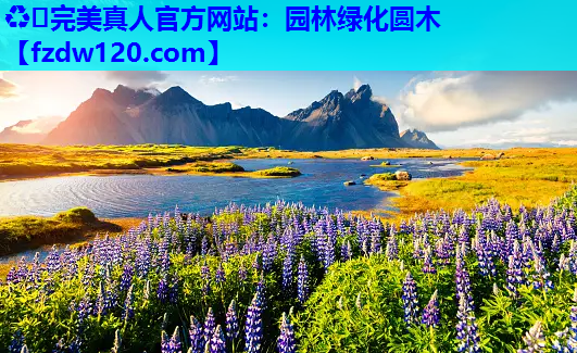 园林绿化圆木