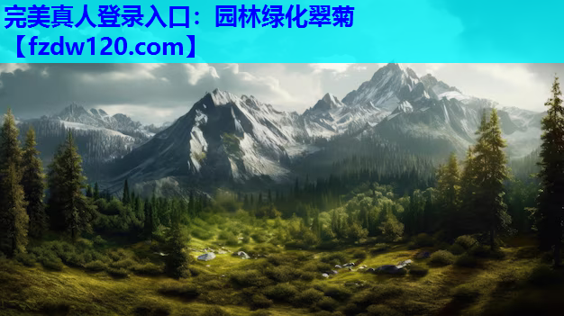 园林绿化翠菊