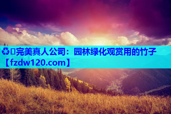 园林绿化观赏用的竹子