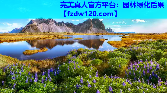 园林绿化后果