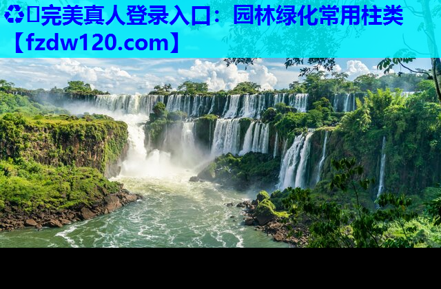 园林绿化常用柱类