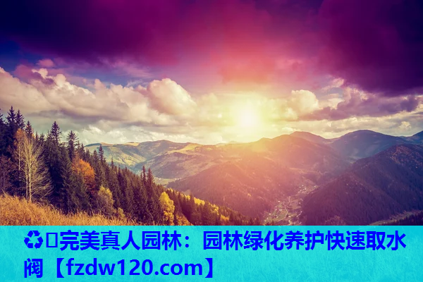 园林绿化养护快速取水阀