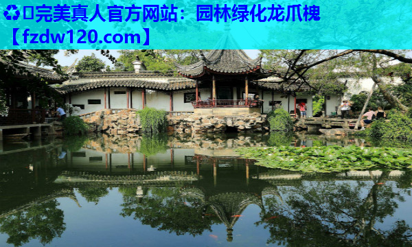 园林绿化龙爪槐