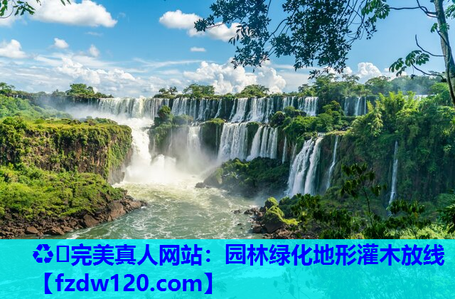 园林绿化地形灌木放线