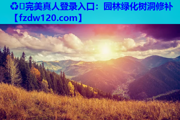 园林绿化树洞修补
