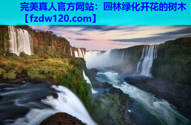 园林绿化开花的树木