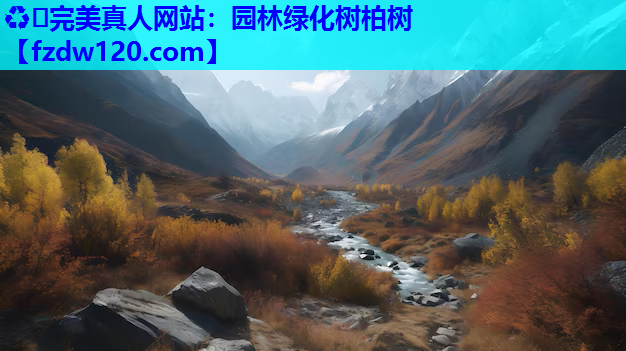 园林绿化树柏树