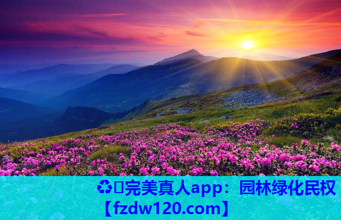 园林绿化民权