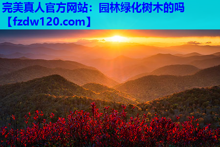 园林绿化树木的吗