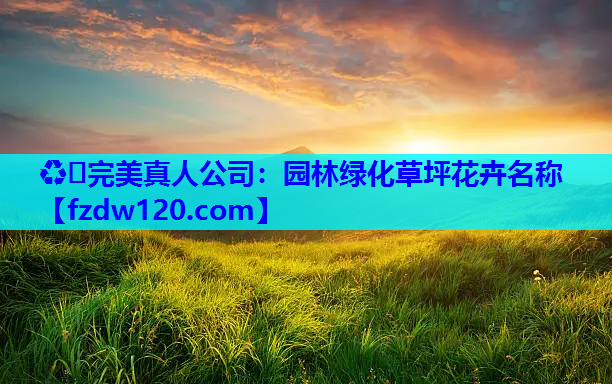 园林绿化草坪花卉名称