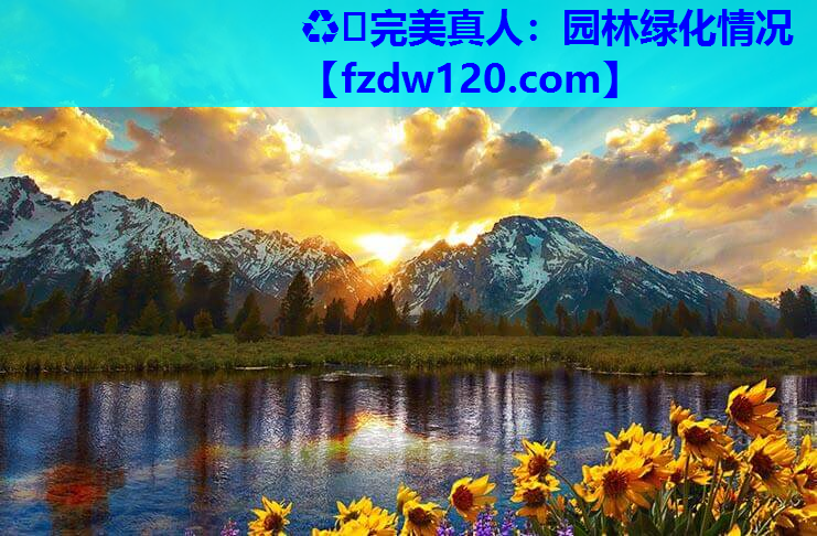 园林绿化情况