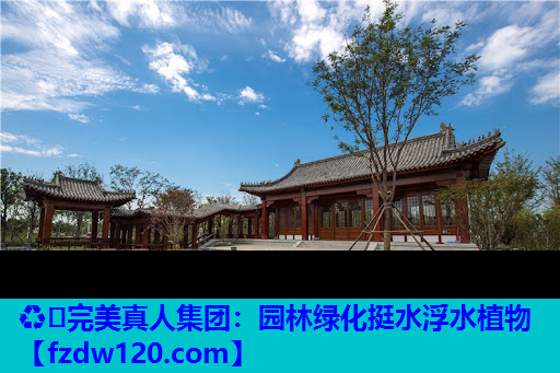 园林绿化挺水浮水植物