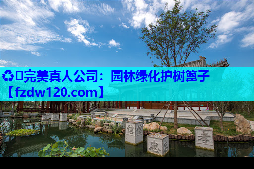 园林绿化护树篦子