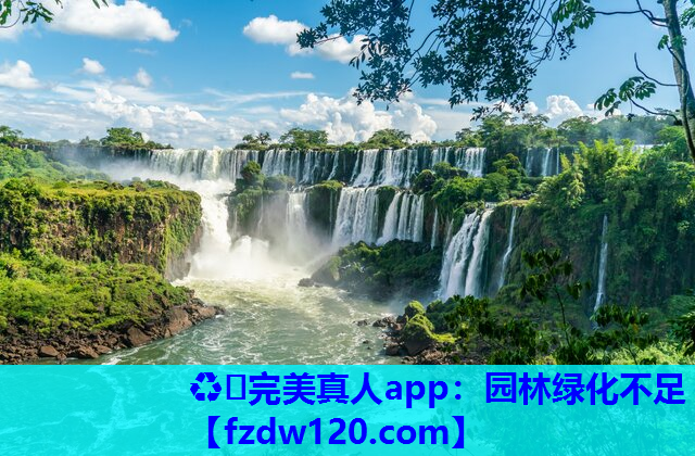 园林绿化不足