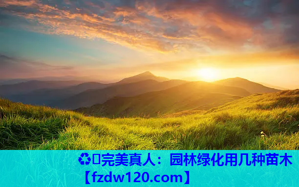 园林绿化用几种苗木
