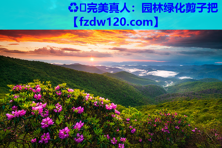 园林绿化剪子把