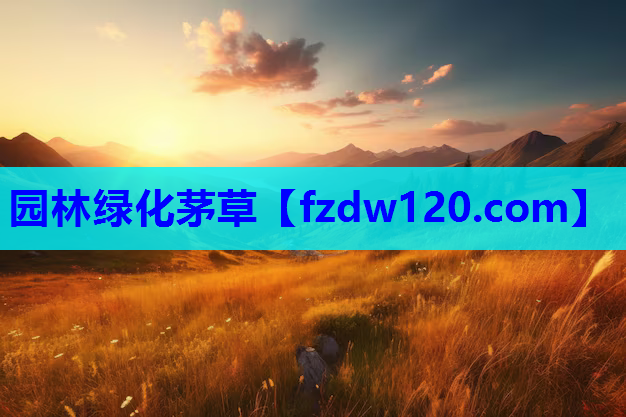 园林绿化茅草