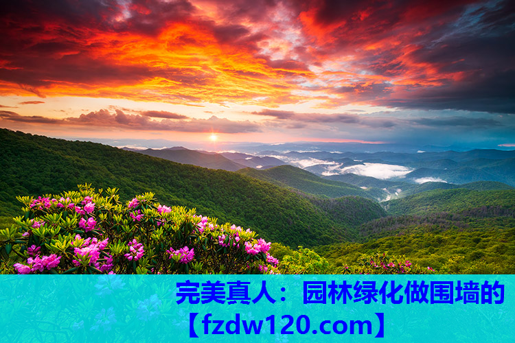 园林绿化做围墙的