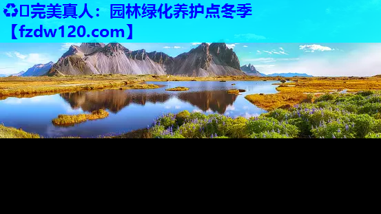 园林绿化养护点冬季