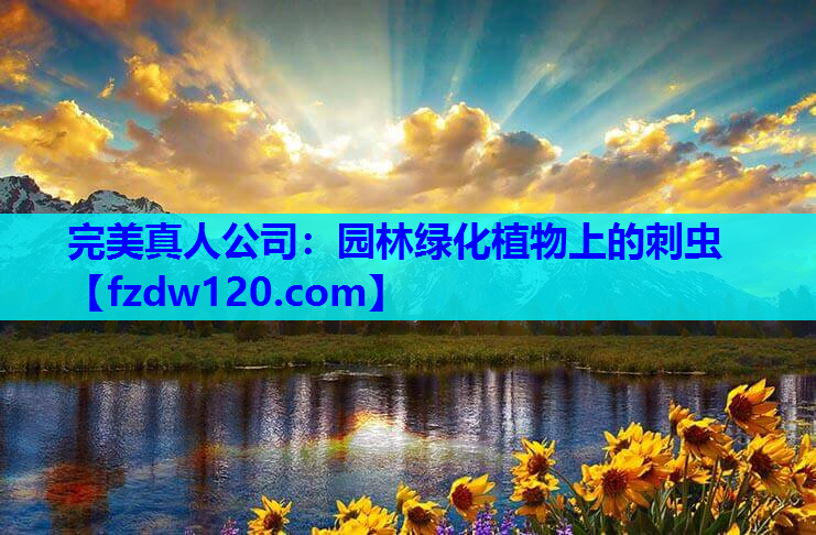 园林绿化植物上的刺虫