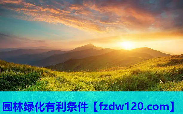 园林绿化有利条件