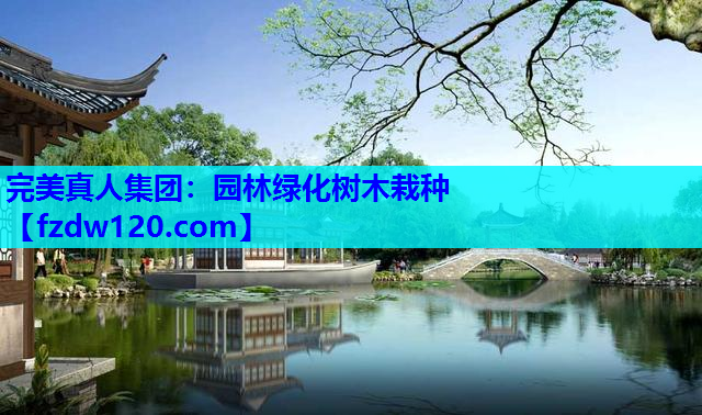 园林绿化树木栽种