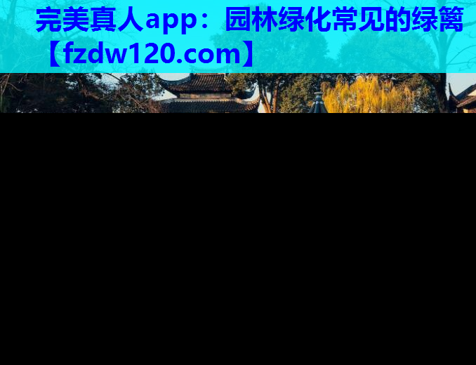 园林绿化常见的绿篱