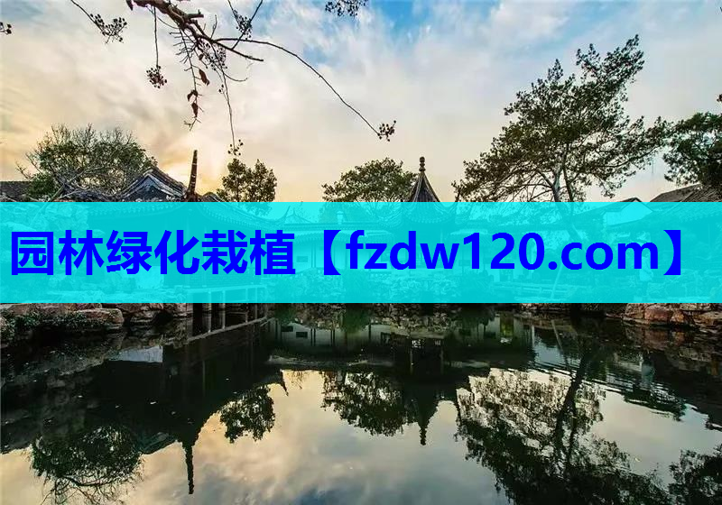 园林绿化栽植