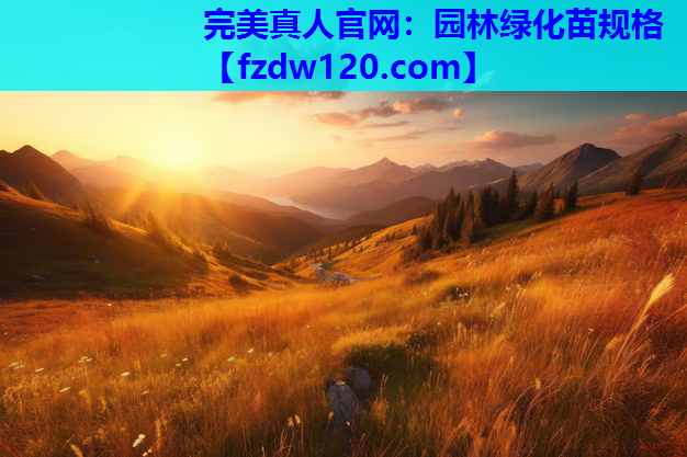 园林绿化苗规格