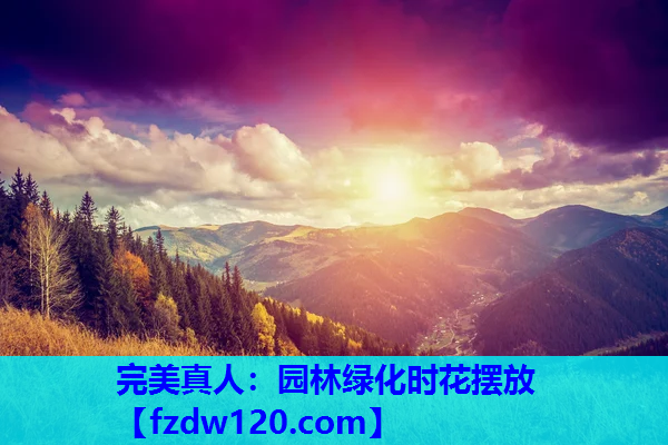 园林绿化时花摆放