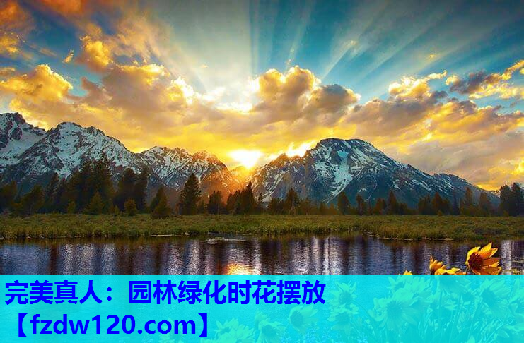 园林绿化时花摆放