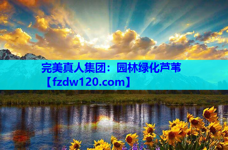 园林绿化芦苇