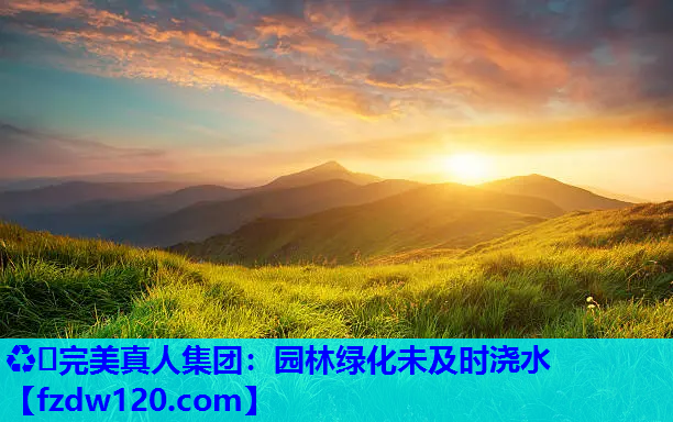 园林绿化未及时浇水
