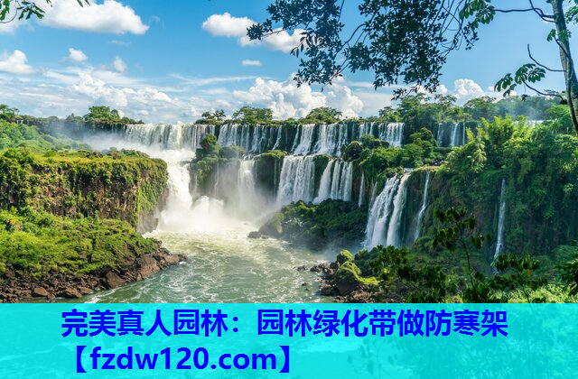 园林绿化带做防寒架