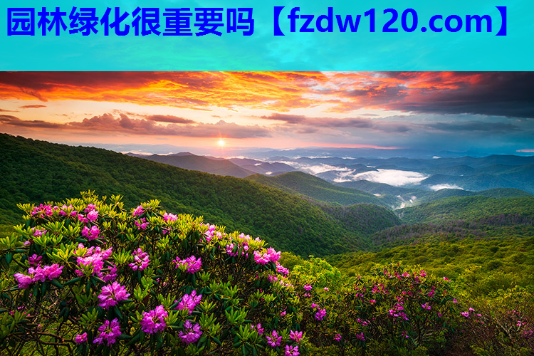 园林绿化很重要吗